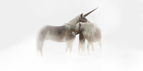 A pair of unicorns cuddling in the fog.