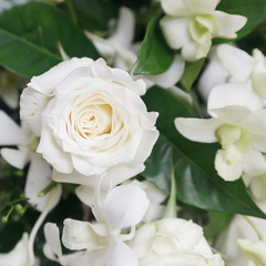 White roses for background.