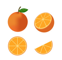 
Fresh orange fruit vector isolated set on white background - Vector illustration