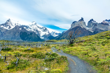 Fototapeta na wymiar National park Torres del Paine mountains and road landscape, Patagonia, Chile, South America 