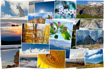 Collage of nature photos