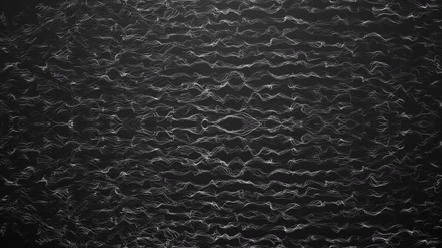 Stripes and lines in simmetry. Caos and order in black and white