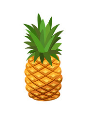Vector pineapple on the white background.