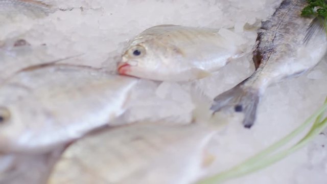 Camera moves along a series of fish resting on ice at a fishmongers shop