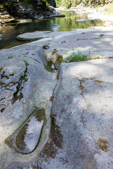 The surface of an old rock with water. Old rock texture (wild background)