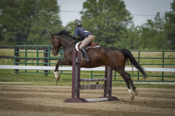 Rear view of woman and horse jumping