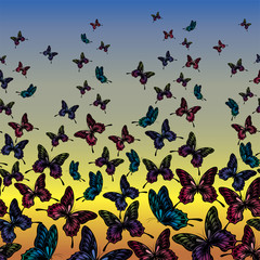 butterflies in the sky