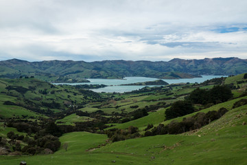 Fototapeta na wymiar Panoramic view on Akaroa bay in New Zealand.