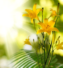 festive bouquet of flowers in the garden