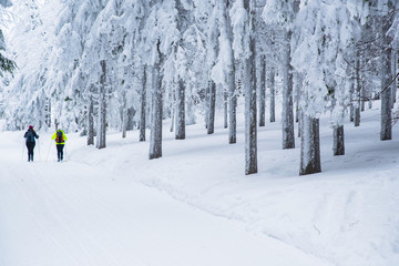 Woman in white winter forest