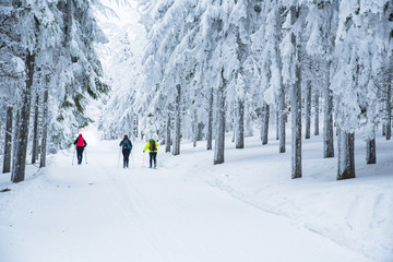 Nordic skier in white winter forest