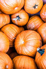 Closeup pattern of orange yellow decorative carving pumpkin squash on dry dried hay stack display by store