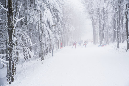 Professional nordic skier in white winter nature