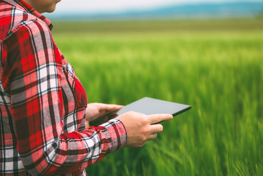 Female farmer using tablet computer in wheat crop field