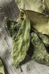Raw Dry Organic Laurel Leaves