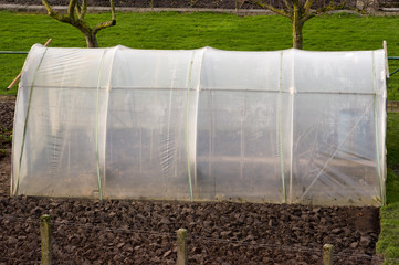 Small plastic greenhouse