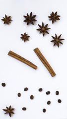 Spices: star anise and cinnamon sticks on white background. Close up.