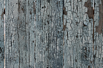Vintage wood background with peeling paint. Old wood texture.