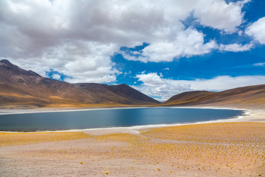 Atacama Altiplana desert, Laguna Miscanti salt lake and mountains landscape, Miniques, Chile, South America
