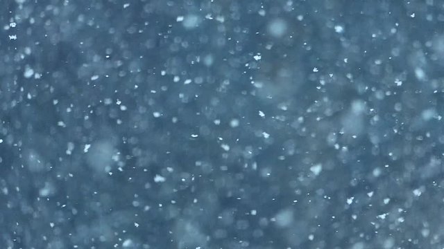 Slow motion snow falling, relaxing nature background, super-slow motion effect. If you are good with chroma keying you can use this as an overlay to get that magical snow globe feeling.
