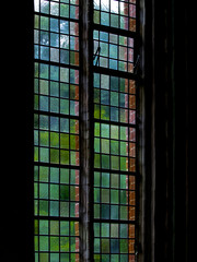 Fenster ins Grüne