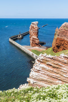 Helgoland