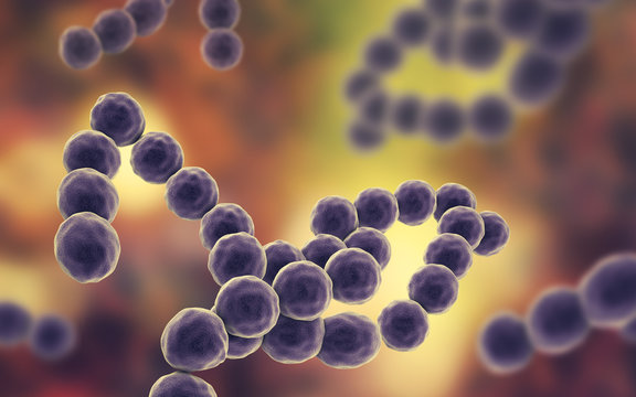 Bacteria Peptostreptococcus, anaerobic Gram-positive cocci, they are part of human microbiome in intestine and also cause inflammations of different location, 3D illustration