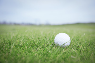Golf ball in grass