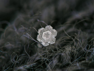 Real snowflake glittering on dark woolen background. Macro photo of real snow crystal: small star plate with glossy relief surface, fine hexagonal symmetry, simple shape and amazing inner pattern.