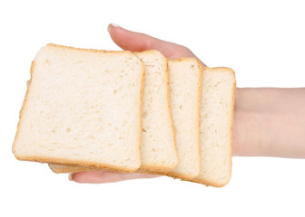 Bread toast in a hand