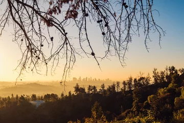 Fotobehang Los Angeles skyline at sunrise with trees in foreground, California © Martin M303