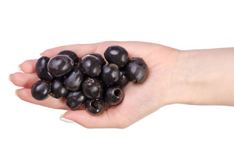 Olives in hand