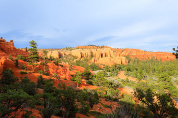 Red canyon panorama, Utah, USA