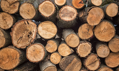 Dry chopped firewood logs in a pile
