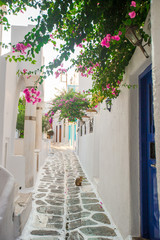 Traditional greek village. Streets and houses