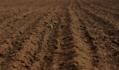 Ploughed field in spring prepared for sowing.