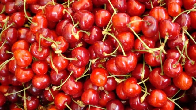 Red and fresh cherries on the market: health, food, freshness