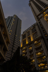 Under the concrete jungle