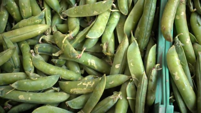 A group of fresh fave beans exposed to the market