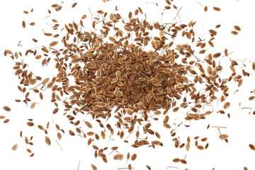 dill seed isolated on white background. top view