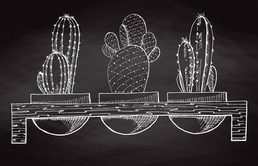 Naklejka premium Sketch three succulents in pots on a wooden stand isolated on the chalkboard. Vector illustration.