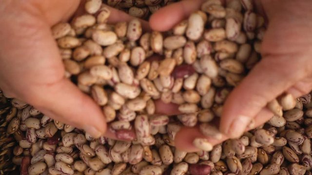  Farming hands mixing  fresh beans- slow motion