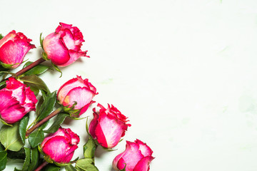 Rose flower background. Top view.