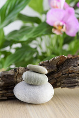 Spa Still Life, Stones and wood on green background