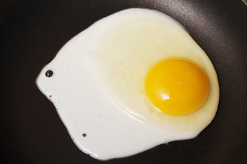 Cooking an Egg