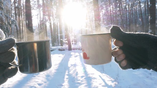 two hands in gloves holding mugs with a hot drink. winter forest on the background