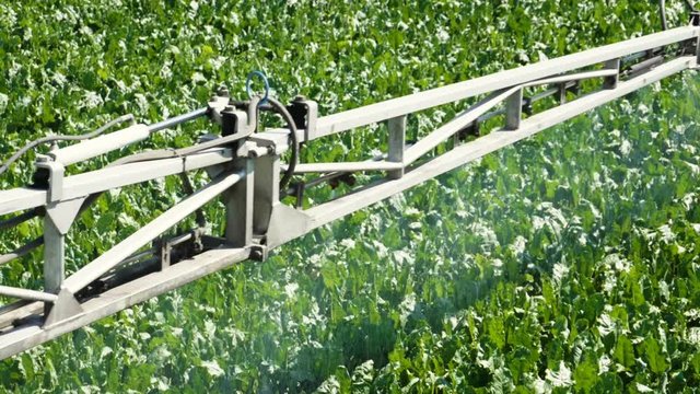 Treatment of sugar beet against pests, insects and plant diseases. Slow motion. HD