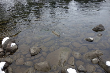 Exploring Washington State, the Pacific Northwest