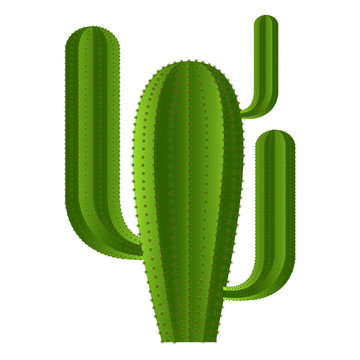 Isolated cute cactus