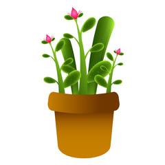 Isolated cute cactus